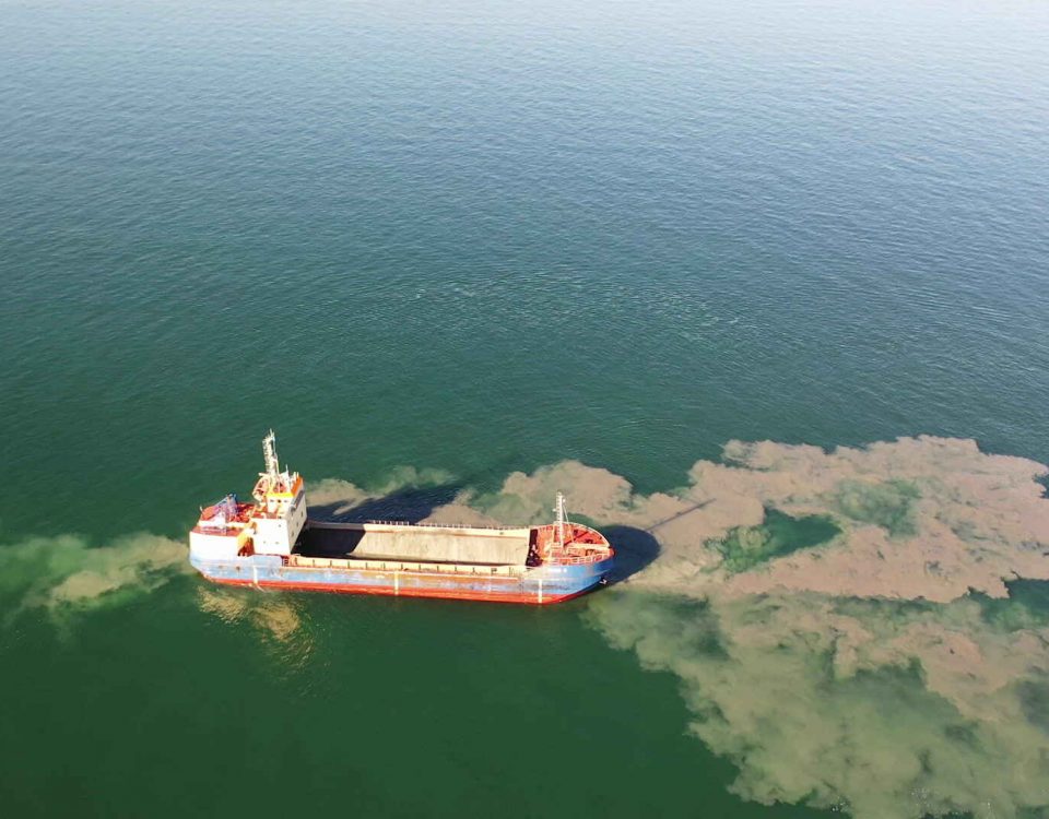 Sludge dumped in the Sound